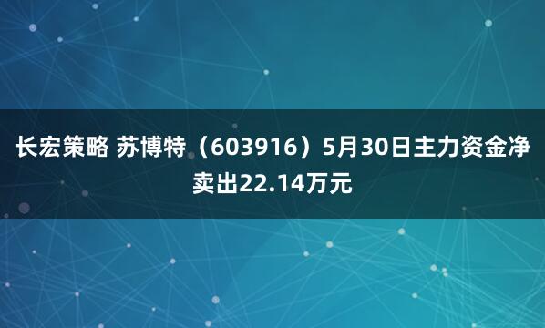 长宏策略 苏博特（603916）5月30日主力资金净卖出22.14万元