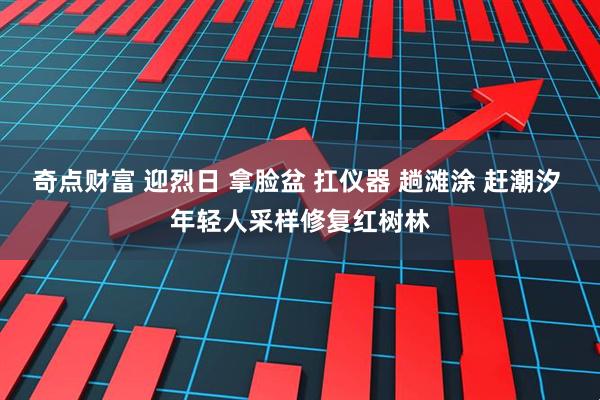 奇点财富 迎烈日 拿脸盆 扛仪器 趟滩涂 赶潮汐 年轻人采样修复红树林