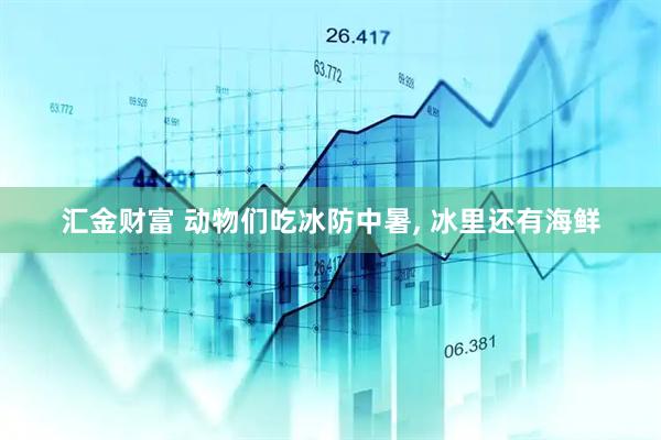 汇金财富 动物们吃冰防中暑, 冰里还有海鲜
