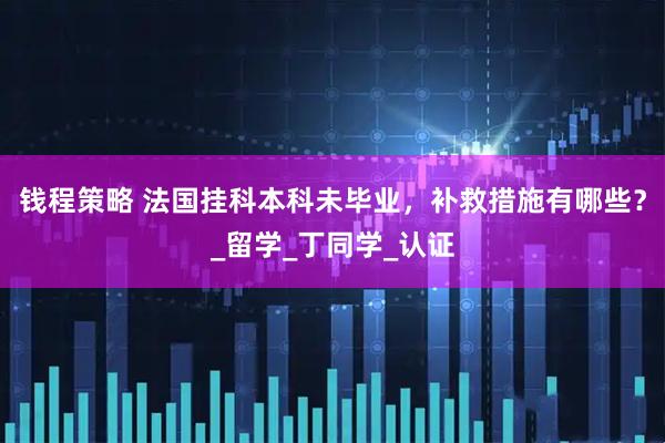 钱程策略 法国挂科本科未毕业，补救措施有哪些？_留学_丁同学_认证