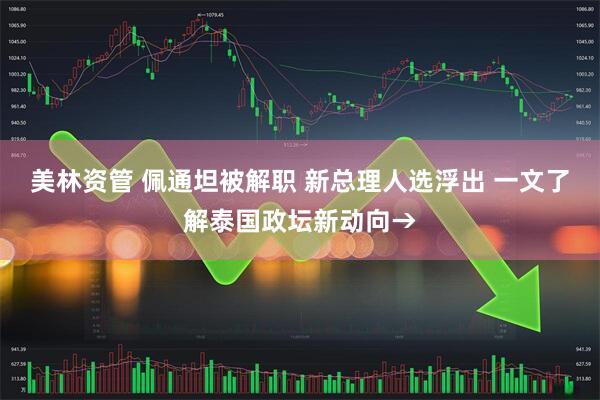 美林资管 佩通坦被解职 新总理人选浮出 一文了解泰国政坛新动向→
